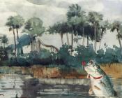 温斯洛荷默 - Black Bass, Florida